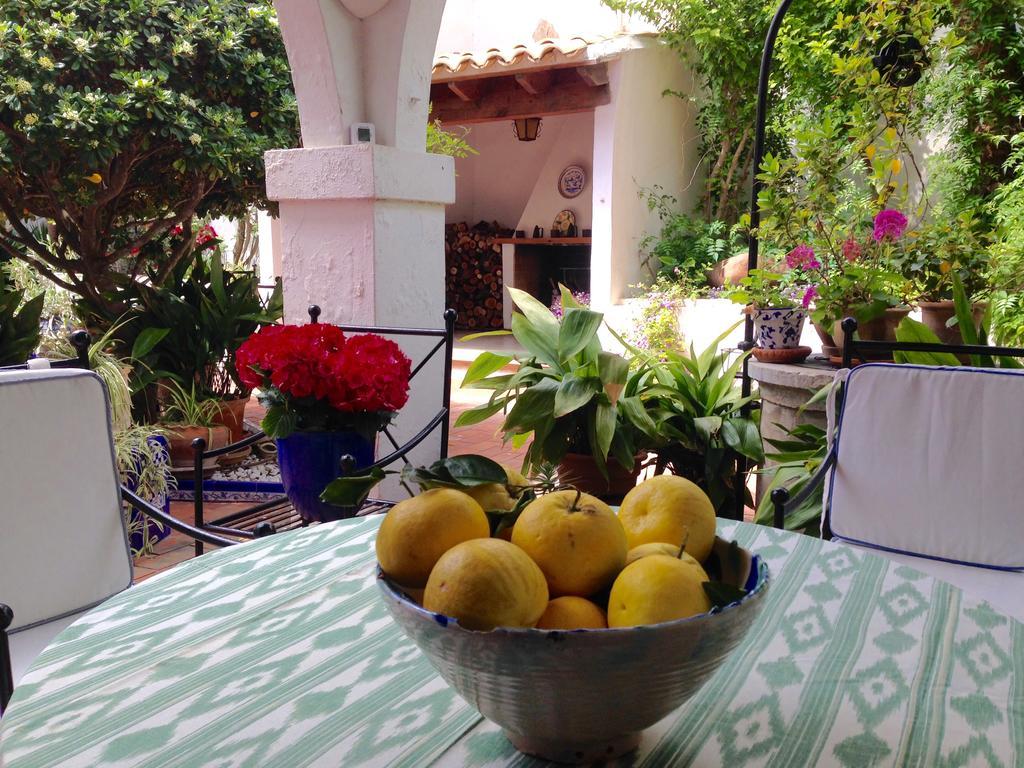 Sant Jaume Hotel Alcudia  Eksteriør billede